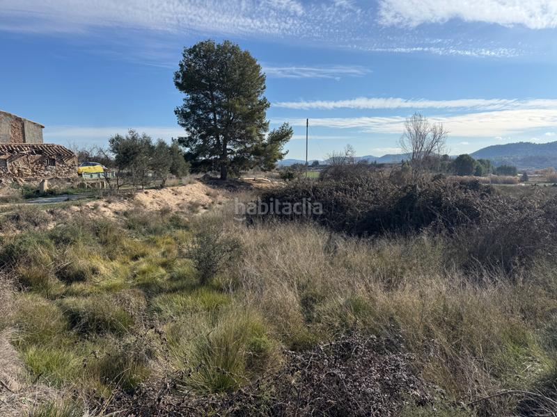 Foto 263523ee-21f5-42ed-b3f8-b29a181aa776. Finca rústica a n/a a Cehegín