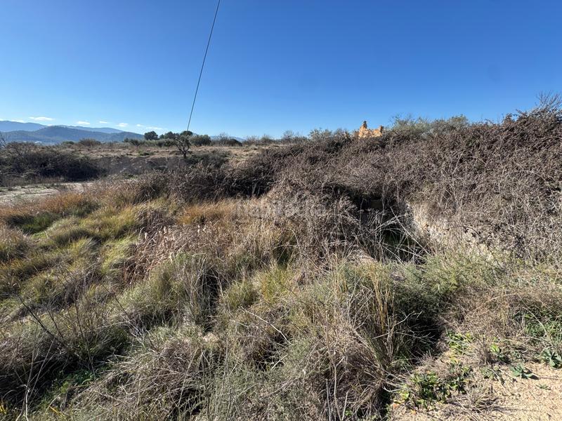 Foto 8dd45b9a-2a6a-45fc-8e57-8b6f77642176. Finca rústica a n/a a Cehegín