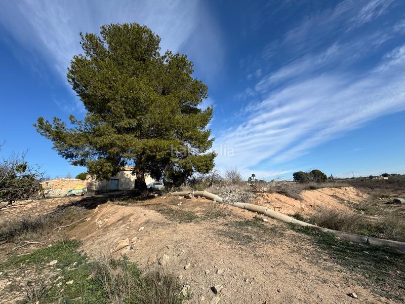 Foto ce530bc0-c51f-4989-9df6-f3dd483a8a80. Finca rústica a n/a a Cehegín