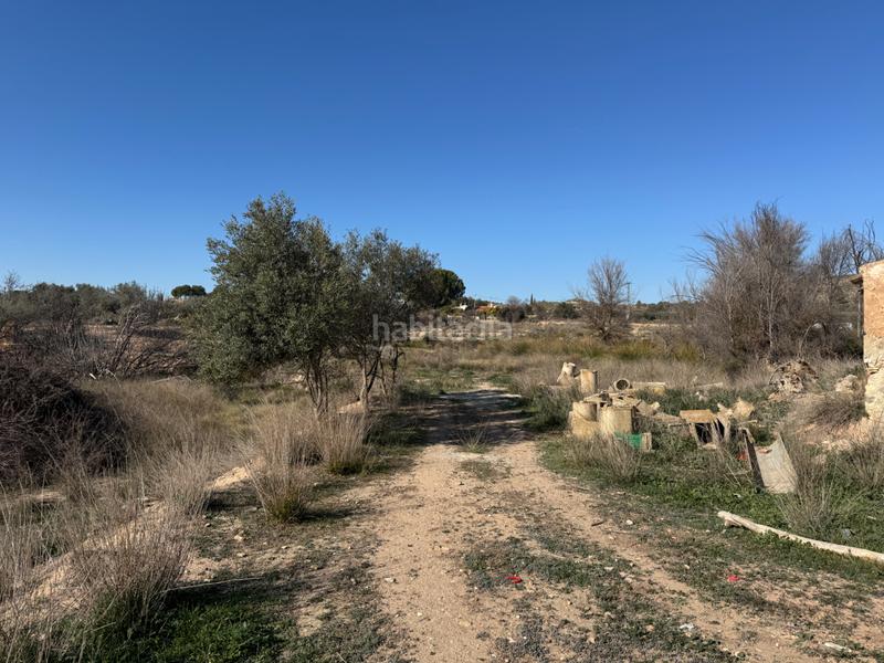 Foto ff0ac9df-099d-49e5-a761-9c2651d1436a. Finca rústica a n/a a Cehegín