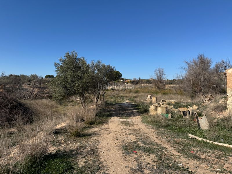 Foto ff0ac9df-099d-49e5-a761-9c2651d1436a. Finca rústica a n/a a Cehegín
