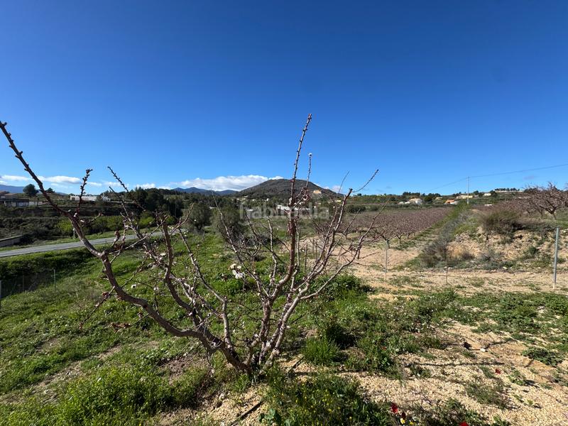 Foto 7f67d8c5-f5d8-4856-955c-3754963fbb5a. Fondo rustico in camino real 71 in Bullas