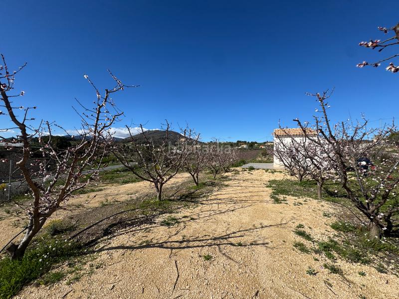 Foto b63a5851-67dd-47c9-ad2a-03931da1ab8e. Fondo rustico in camino real 71 in Bullas