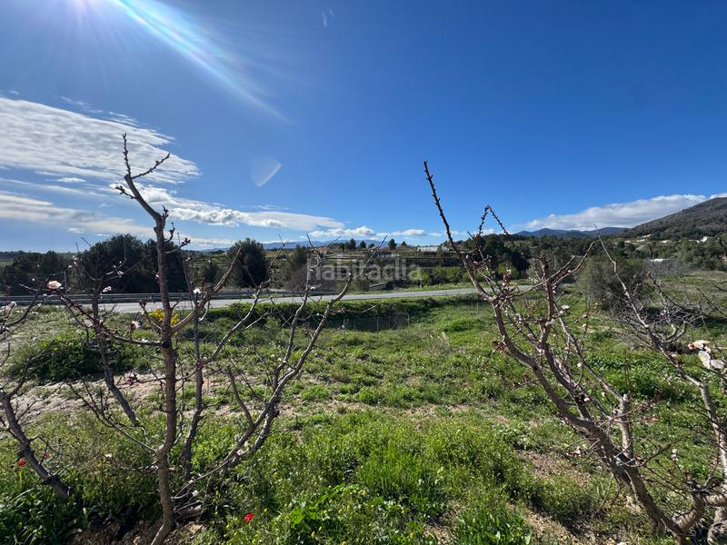 Foto b7100aa8-3f9f-4b2e-a49b-ca807d4508d4. Fondo rustico in camino real 71 in Bullas