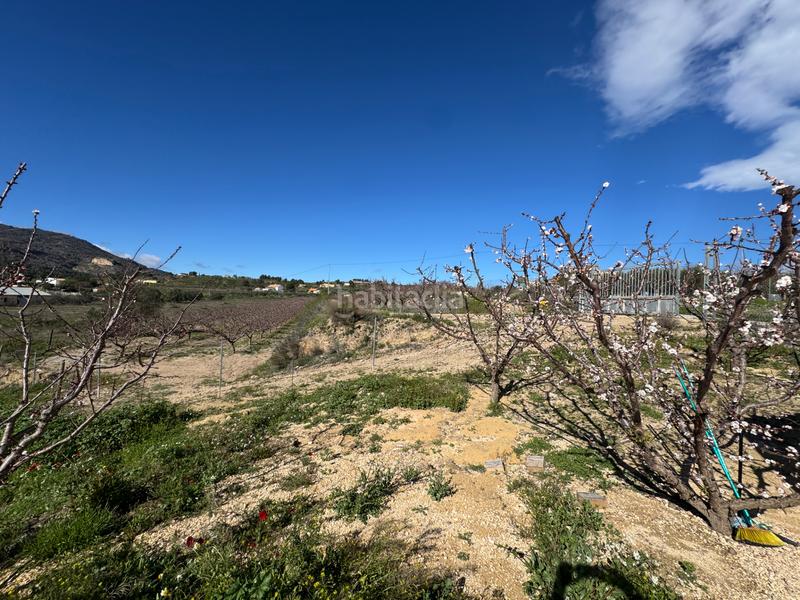 Foto e0bd977f-d0e9-45fe-b8ab-8a86824c96c2. Fondo rustico in camino real 71 in Bullas