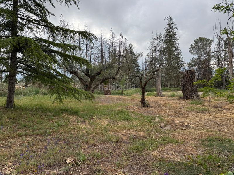 Foto d629f677-9fbf-4897-8603-bdc202ad0154. Chalet in rm-c16 2 in Caravaca de la Cruz