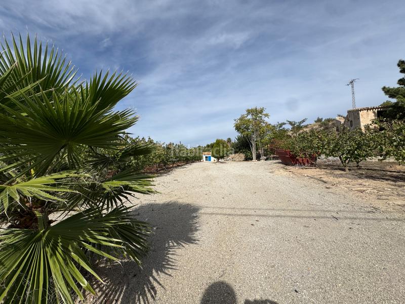 Foto 03667d3c-670c-4fe9-a671-cdbd62756c42. Fondo rustico in n/a in Cehegín