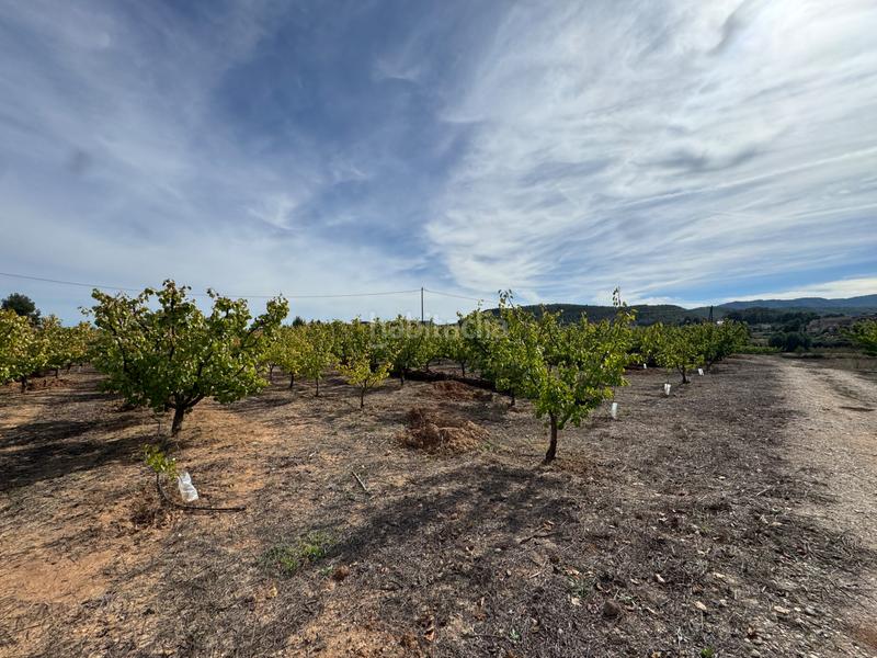 Foto 07bb98a6-5e6d-4ff0-9df3-e006929ec2e5. Fondo rustico in n/a in Cehegín