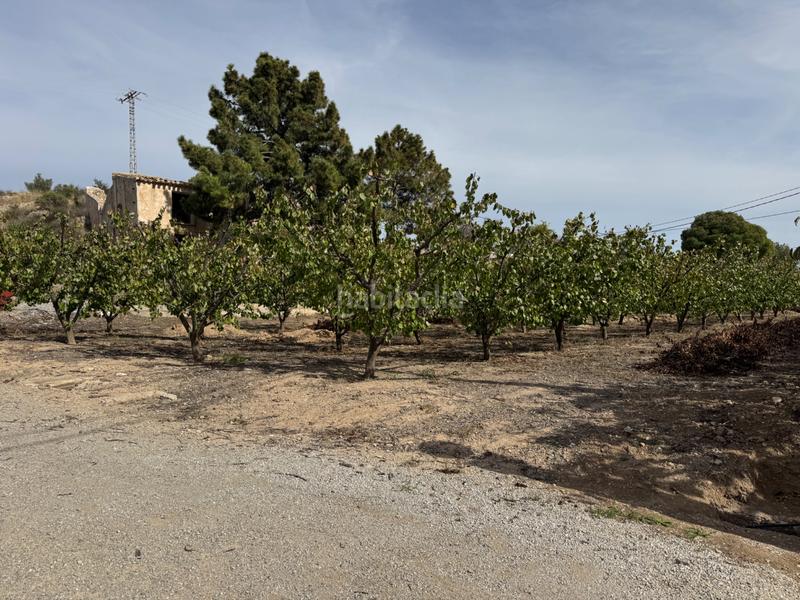 Foto 14d227c4-6436-4f45-97ab-f7bc0d08e4fa. Fondo rustico in n/a in Cehegín