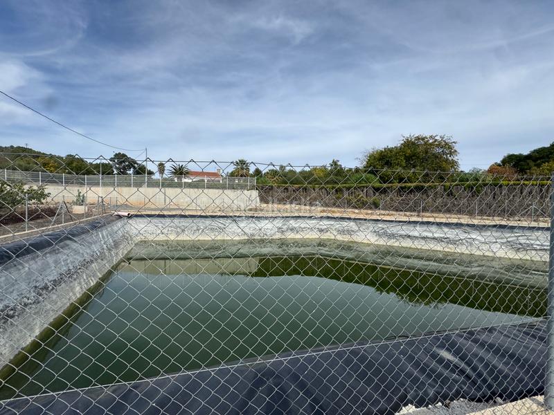 Foto 276ea298-29d7-4c1c-a4af-c79407ae76ee. Fondo rustico in n/a in Cehegín