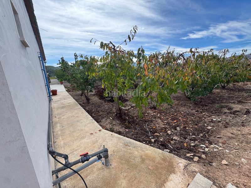 Foto 6136b794-895a-4d4d-905f-ab43298f10ca. Fondo rustico in n/a in Cehegín