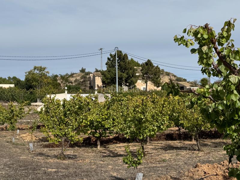 Foto 639b60d1-d1de-48a3-aa87-57debacaa7ec. Fondo rustico in n/a in Cehegín