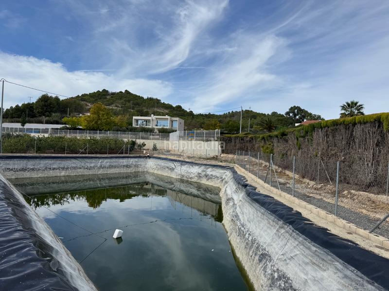 Foto 659246a9-46bc-4abf-ba95-c195d8087017. Fondo rustico in n/a in Cehegín