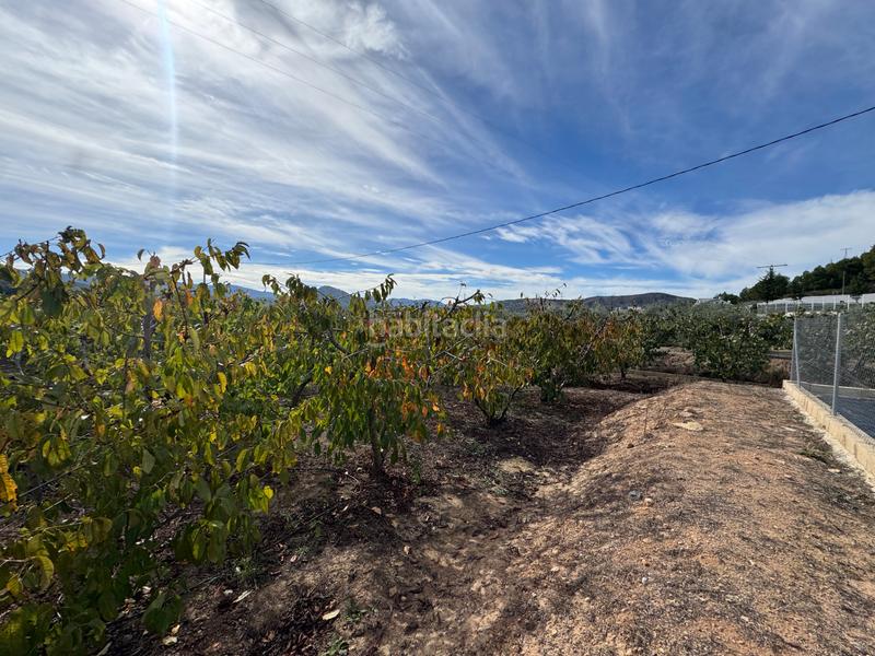 Foto 6787f806-eab3-497b-90e0-854108c84deb. Fondo rustico in n/a in Cehegín