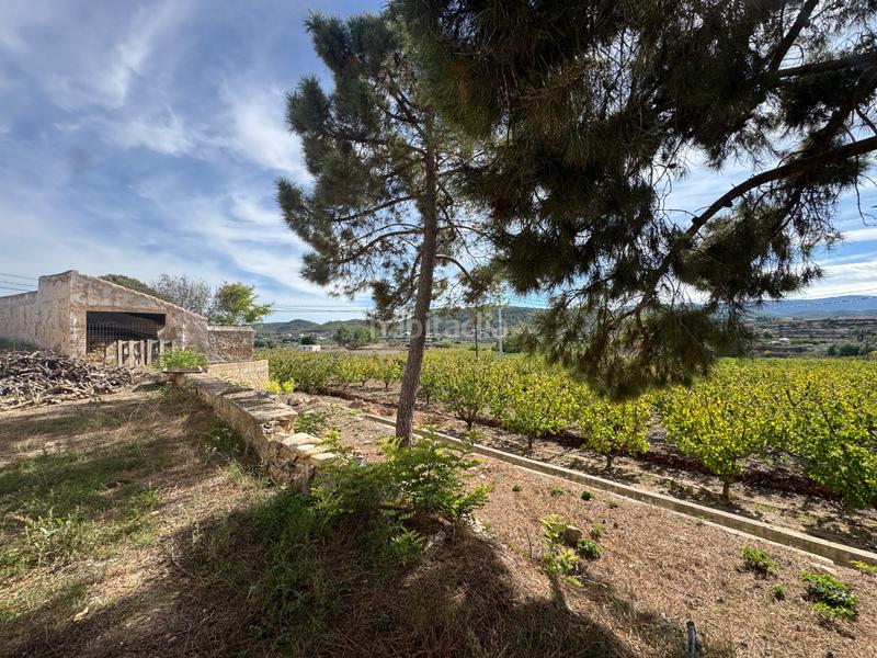 Foto 7dc8a83f-ebc0-44de-9452-fc4d97d15106. Fondo rustico in n/a in Cehegín