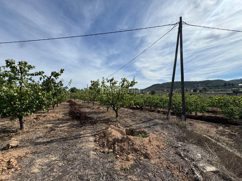 Foto 94fba490-ba3e-43d5-92b2-843732dd4ed6. Fondo rustico in n/a in Cehegín