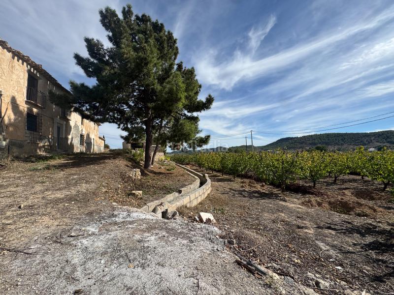 Foto 95d517d4-3143-4ae5-915d-3627a0b9c9c8. Fondo rustico in n/a in Cehegín