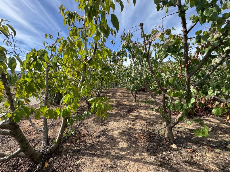 Foto a075d1fa-52f8-4b6b-9905-2eb5155075e5. Fondo rustico in n/a in Cehegín