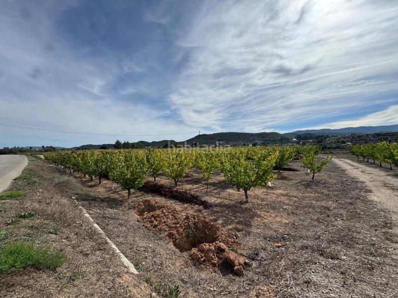 Foto dcb237b8-a0ed-4336-82ef-39c28330b60b. Fondo rustico in n/a in Cehegín