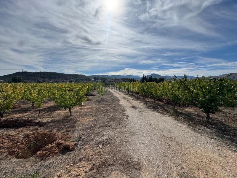 Foto f1317cfb-1796-4eff-b5fb-38c67b95221c. Fondo rustico in n/a in Cehegín