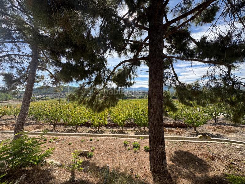 Foto ffd2d18f-7e82-4746-a4bc-f3a45a1950ed. Fondo rustico in n/a in Cehegín