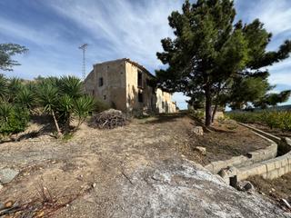 Finca rústica  N/a. ?? finca rústica en plena producción  única a tan solo 1,5 km de