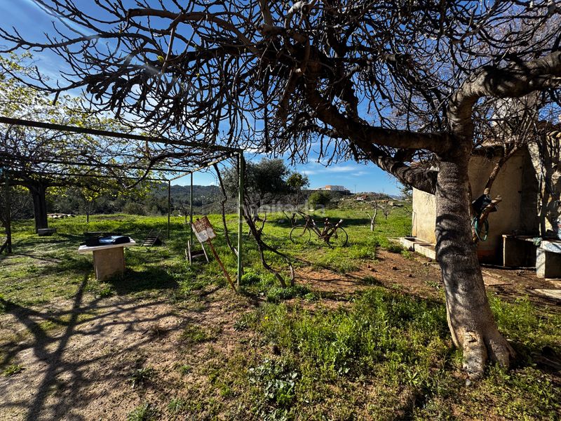 Foto dda0ca99-cb65-423c-bcba-d2f3f669f517. Casa a calle vereda del barranco 4 a Cehegín