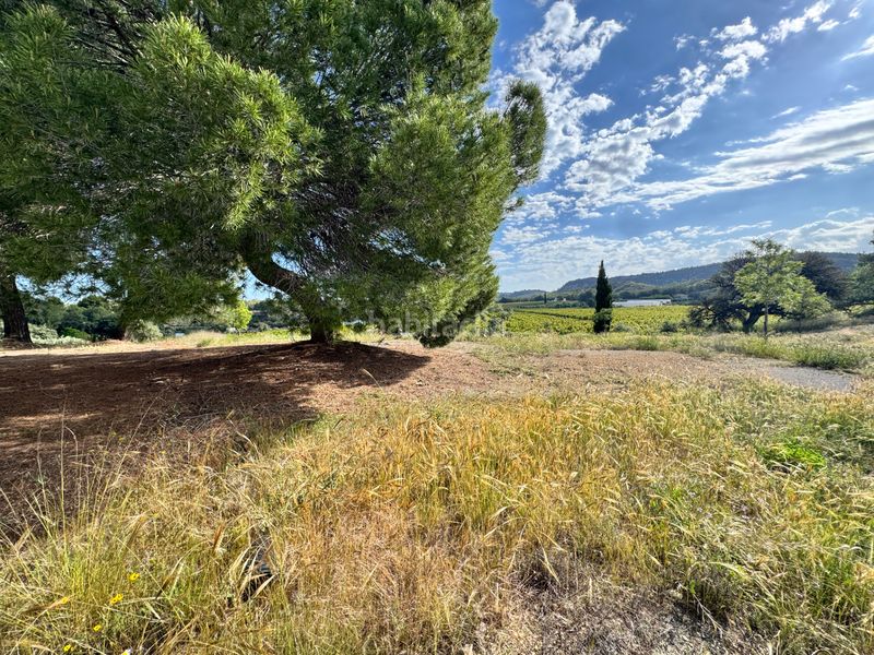 Foto 14692d5f-d179-4535-81e2-44d3fe99c003. Casa a Cehegín