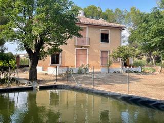 Xalet a Cehegín. Se vende finca de 6.000 m² con olivares en producción, ideal par