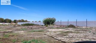 Terreny residencial  Calle holanda. Terreno en venta   partida olivarons 7  sollana