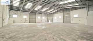 Affitto Capannone industriale in Calle argenters 3. Alquiler nave alcacer  1000m2