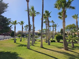 Location Appartement à Calle de la macadamia 5