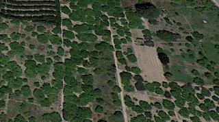 Residential Plot in Ulea