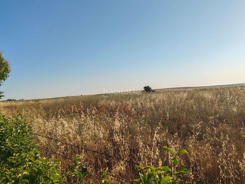 Foto ad904659-ceca-4abd-a944-5683238e409a. Masía casa de campo en Doñinos de Salamanca