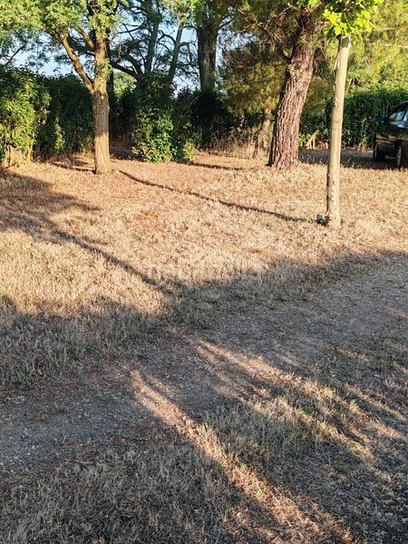 Foto e5189b7a-7d47-4725-9502-f82f6c504f46. Masía casa de campo en Doñinos de Salamanca