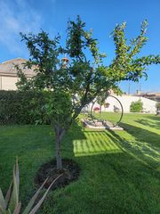 Casa in Santa Marta de Tormes. Espectacular chalet independiente con piscina y jardín privado