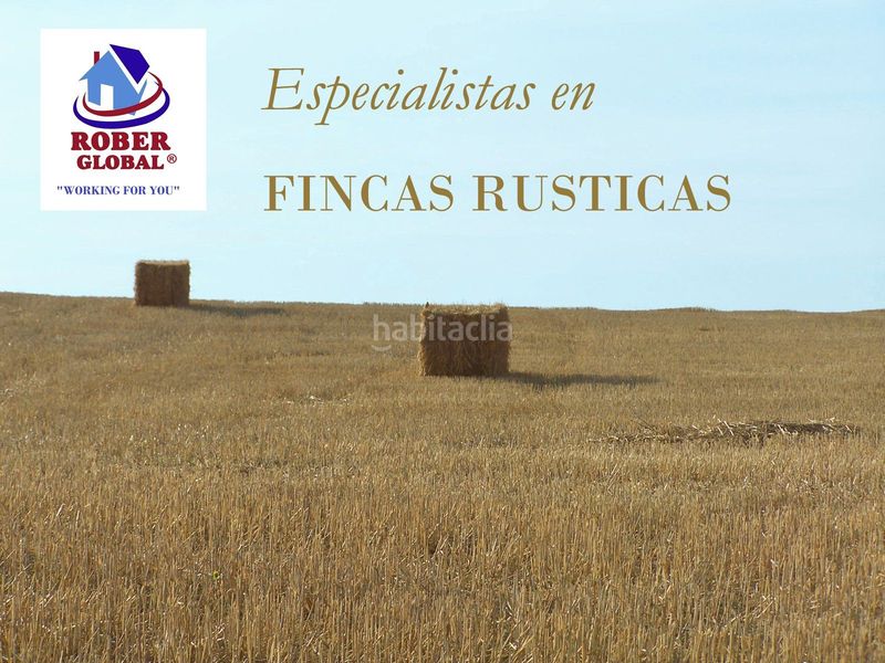 Foto 8f17a626-abeb-45ed-8d90-899947dba467. Finca rústica a Valverdón