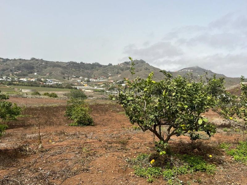 Foto e083c941-59ad-47c9-8b99-f8e63bc24695. Casale in Tegueste