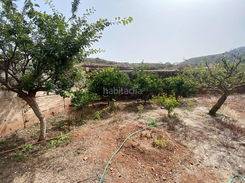 Foto f7b86956-94a6-48d5-b432-4979eda9ce51. Casale in Tegueste