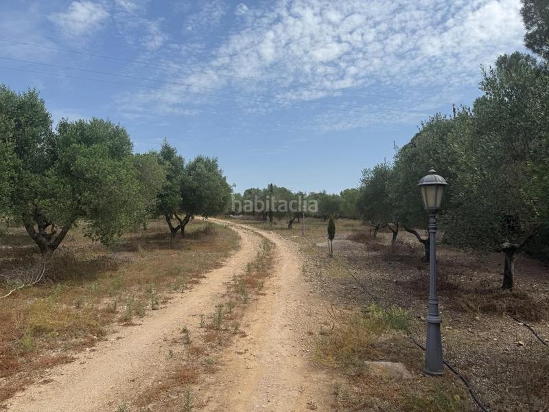 Foto b043e687-27fc-4751-8351-2e7200018bd4. Bauernhof mit heizung parking pool in Banyeres del Penedès