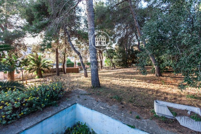 Foto d4b533c6-80ec-4b80-a383-03894a7037f7. Finca rústica a Segur de Calafell nucli urbà Segur de Calafell
