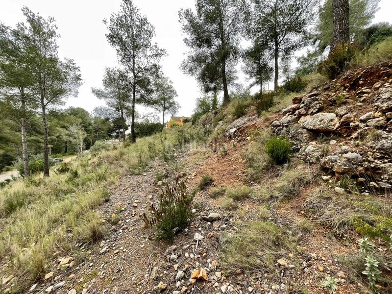 Foto e7544666-cd53-4546-bc47-98cda32a2710. Terreny residencial a Bisbal del Penedès (La)
