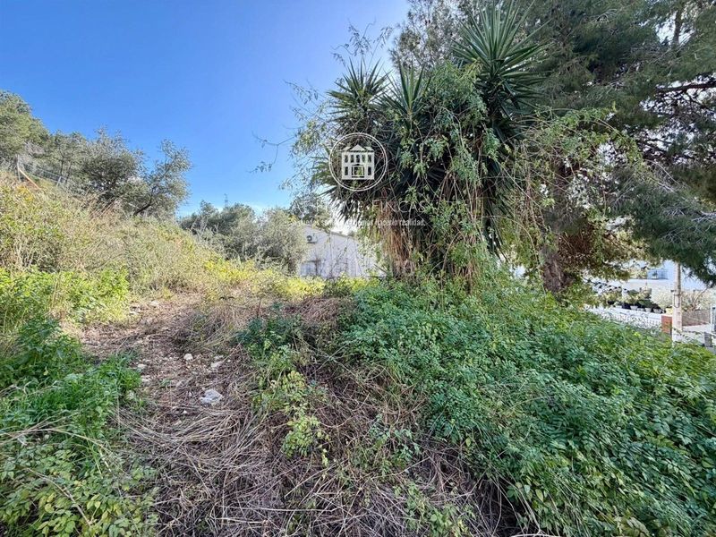 Foto 4642a742-f315-421b-a6fc-189602f99f8a. Finca rústica a Segur de dalt Segur de Calafell
