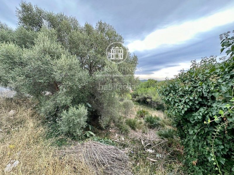 Foto 3351a25a-4253-401e-a5c8-821c335e2618. Finca rústica a Nou Vendrell Vendrell (El)
