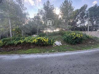 Fondo rustico  Carrer del ter, 113. Terreno esquinero ideal para construir tu vivienda