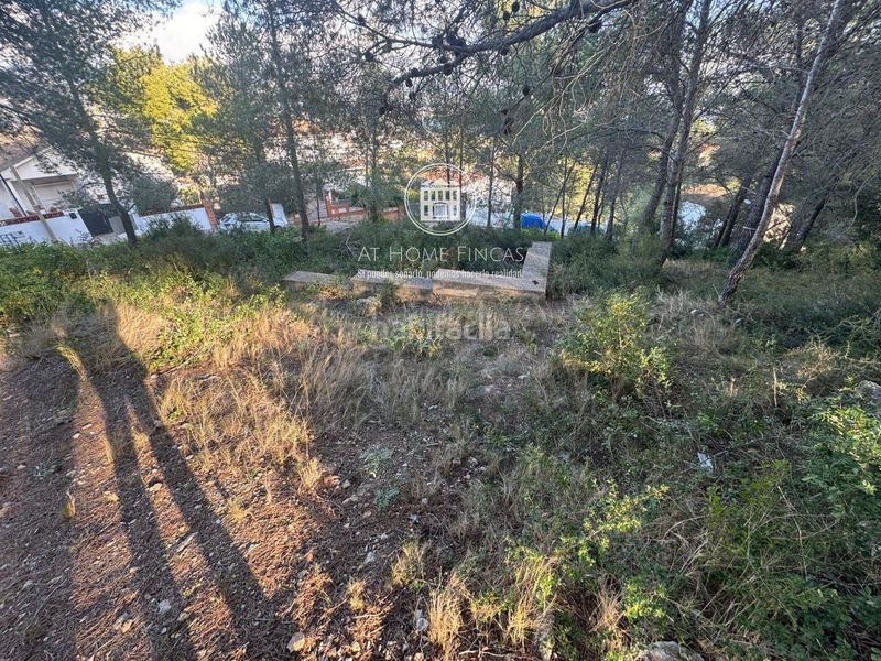 Foto 4746c4a3-225a-4a54-8839-83ae50242c84. Finca rústica a Bisbal del Penedès (La)