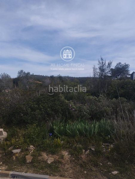 Foto 270ac03f-433e-48dd-b2db-5e692aa39f09. Finca rústica a Bisbal del Penedès (La)