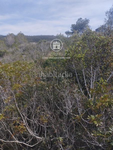 Foto 287ce57c-4ef7-4a91-b127-e4d989745480. Finca rústica a Bisbal del Penedès (La)