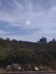 Fondo rustico  Besos del-ur can gordei. Gran parcela en venta en can gordey