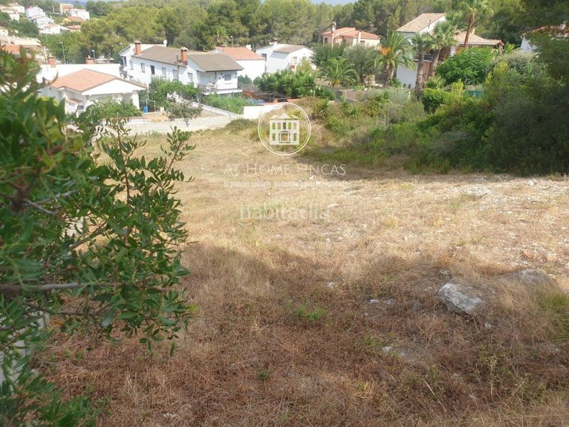 Foto 07ad9994-635f-4ca7-bae2-732eee08f0a4. Finca rústica a Calafell park Calafell